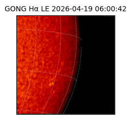 gong - 2026-04-19T06:00:42