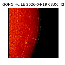 gong - 2026-04-19T08:00:42