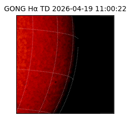 gong - 2026-04-19T11:00:22