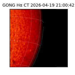 gong - 2026-04-19T21:00:42