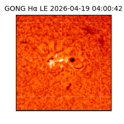 gong - 2026-04-19T04:00:42