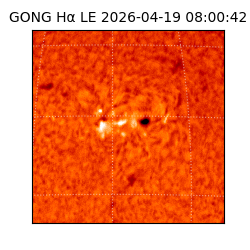 gong - 2026-04-19T08:00:42