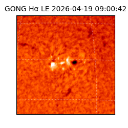 gong - 2026-04-19T09:00:42