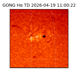 gong - 2026-04-19T11:00:22