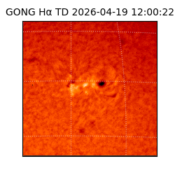 gong - 2026-04-19T12:00:22