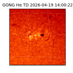 gong - 2026-04-19T14:00:22