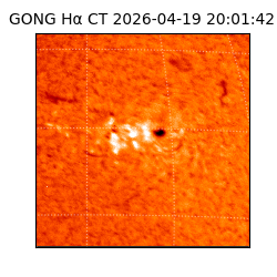 gong - 2026-04-19T20:01:42