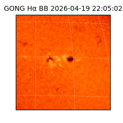 gong - 2026-04-19T22:05:02
