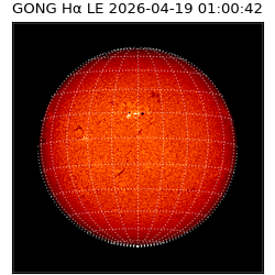 gong - 2026-04-19T01:00:42