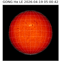 gong - 2026-04-19T05:00:42
