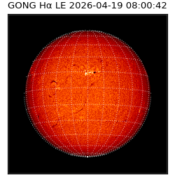 gong - 2026-04-19T08:00:42
