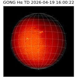 gong - 2026-04-19T16:00:22