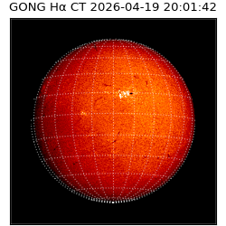 gong - 2026-04-19T20:01:42