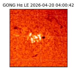gong - 2026-04-20T04:00:42