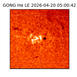 gong - 2026-04-20T05:00:42