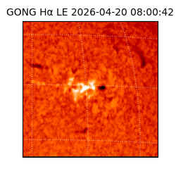 gong - 2026-04-20T08:00:42