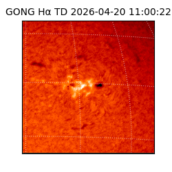 gong - 2026-04-20T11:00:22