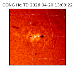 gong - 2026-04-20T13:09:22