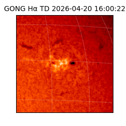 gong - 2026-04-20T16:00:22