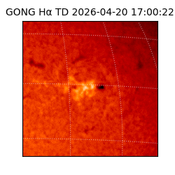 gong - 2026-04-20T17:00:22