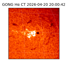 gong - 2026-04-20T20:00:42