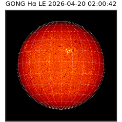 gong - 2026-04-20T02:00:42
