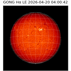 gong - 2026-04-20T04:00:42