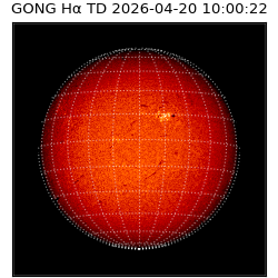 gong - 2026-04-20T10:00:22