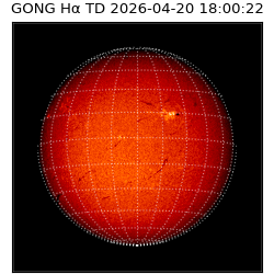 gong - 2026-04-20T18:00:22