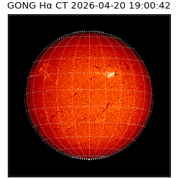 gong - 2026-04-20T19:00:42