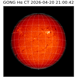 gong - 2026-04-20T21:00:42