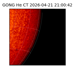 gong - 2026-04-21T21:00:42