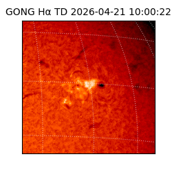 gong - 2026-04-21T10:00:22