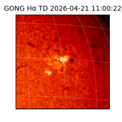 gong - 2026-04-21T11:00:22