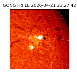 gong - 2026-04-21T23:27:42