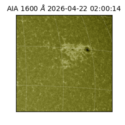 saia - 2026-04-22T02:00:14.122000