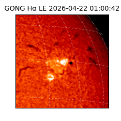 gong - 2026-04-22T01:00:42