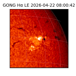 gong - 2026-04-22T08:00:42