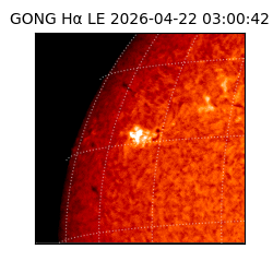 gong - 2026-04-22T03:00:42