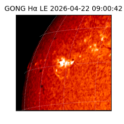 gong - 2026-04-22T09:00:42