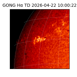 gong - 2026-04-22T10:00:22