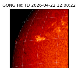 gong - 2026-04-22T12:00:22