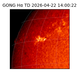 gong - 2026-04-22T14:00:22