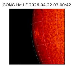 gong - 2026-04-22T03:00:42