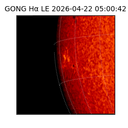 gong - 2026-04-22T05:00:42