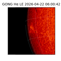 gong - 2026-04-22T06:00:42