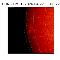 gong - 2026-04-22T11:00:22