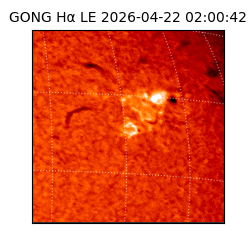 gong - 2026-04-22T02:00:42