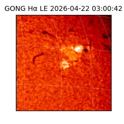 gong - 2026-04-22T03:00:42