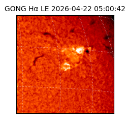 gong - 2026-04-22T05:00:42